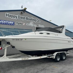 1999 Wellcraft 2400 Martinique